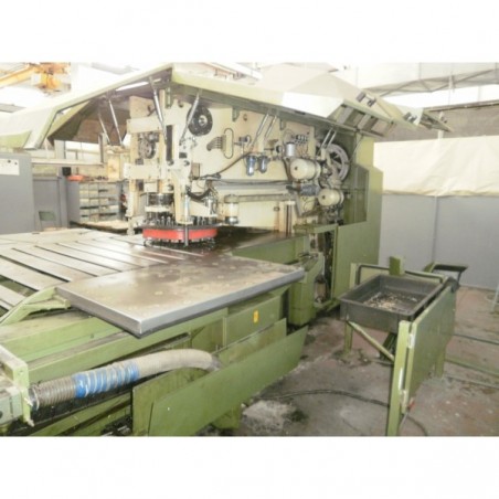 Used rotary stamping and nibbling machine, Behrens type 618/1250