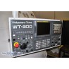 WT 300