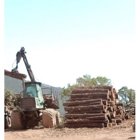 TIMBERJACK 1710